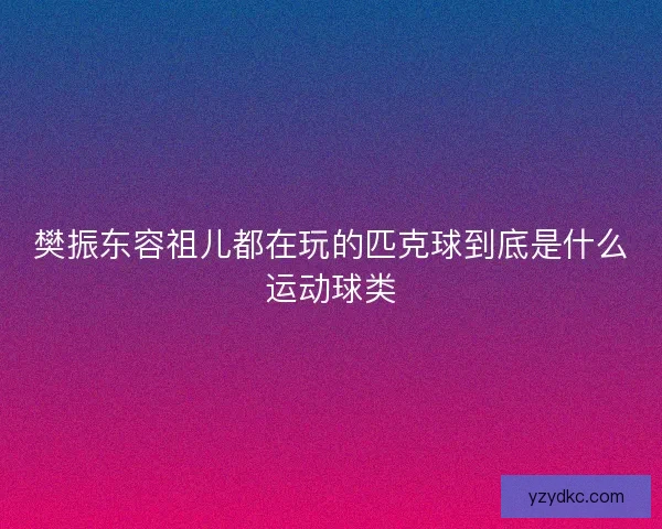 樊振东容祖儿都在玩的匹克球到底是什么运动球类 樊振东容祖儿都在玩的匹克球到底是什么运动球类