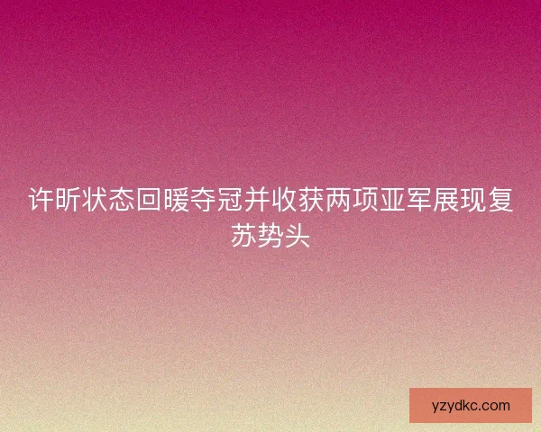 许昕状态回暖夺冠并收获两项亚军展现复苏势头